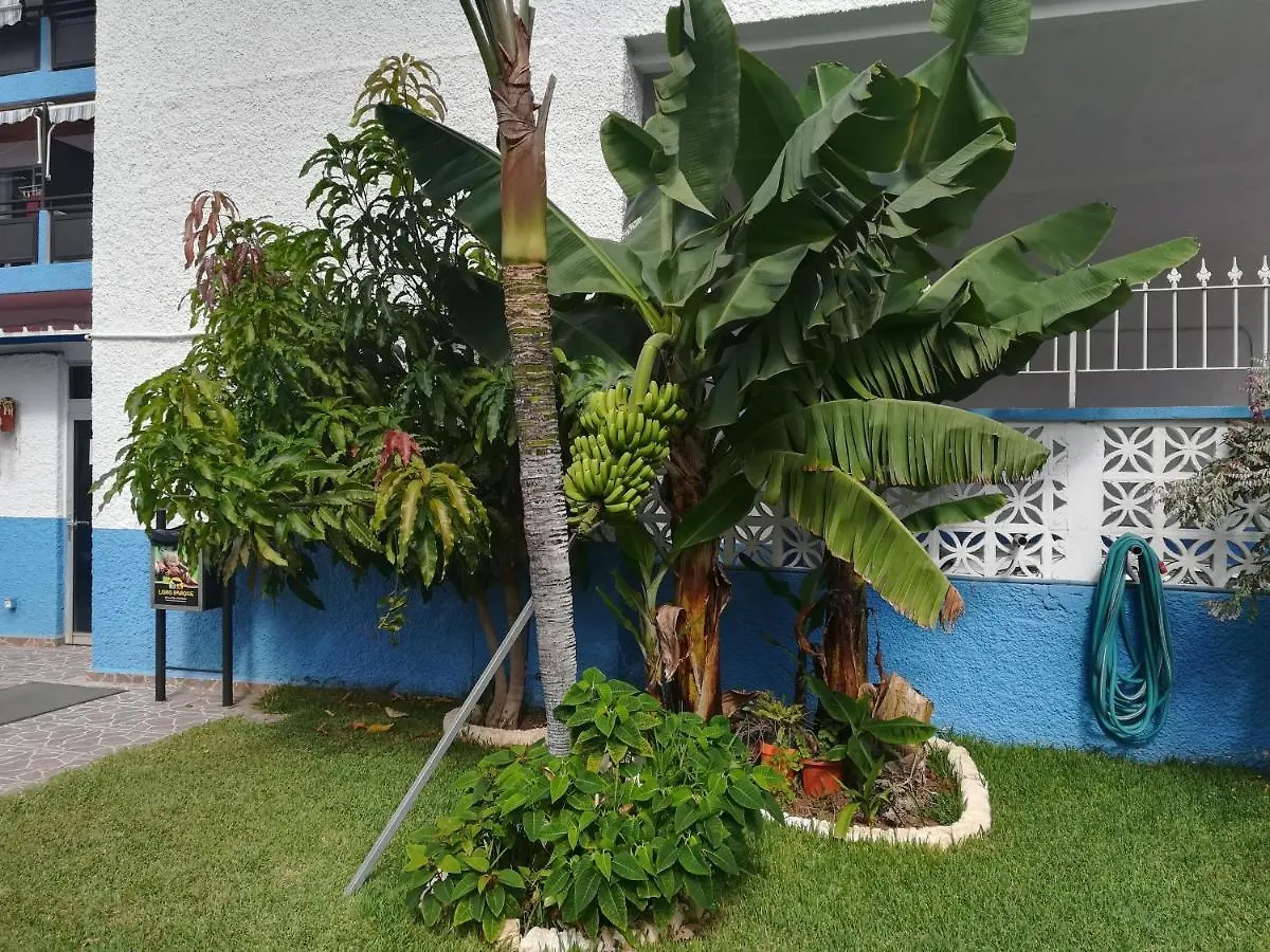Acogedor Estudio Con Piscina Y Cerca De La Playa Puerto de la Cruz  Puerto de la Cruz (Tenerife)